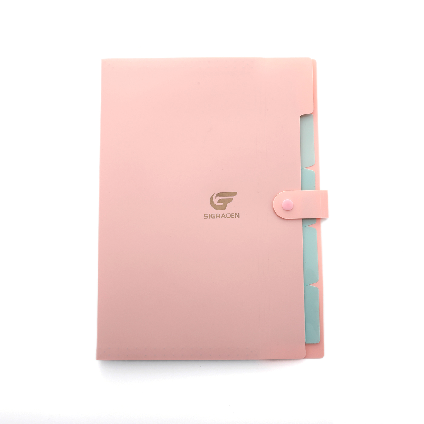 5 Pockets Expanding File Folder1