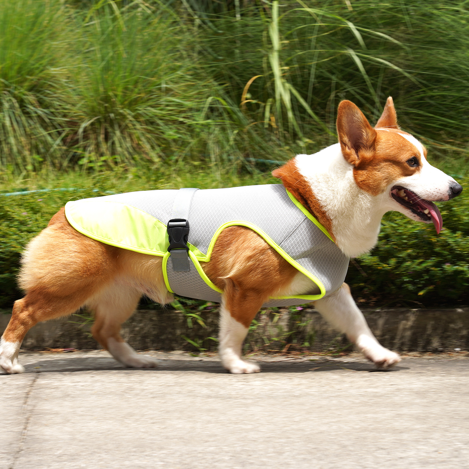 Summer Dog Cooling Vest2