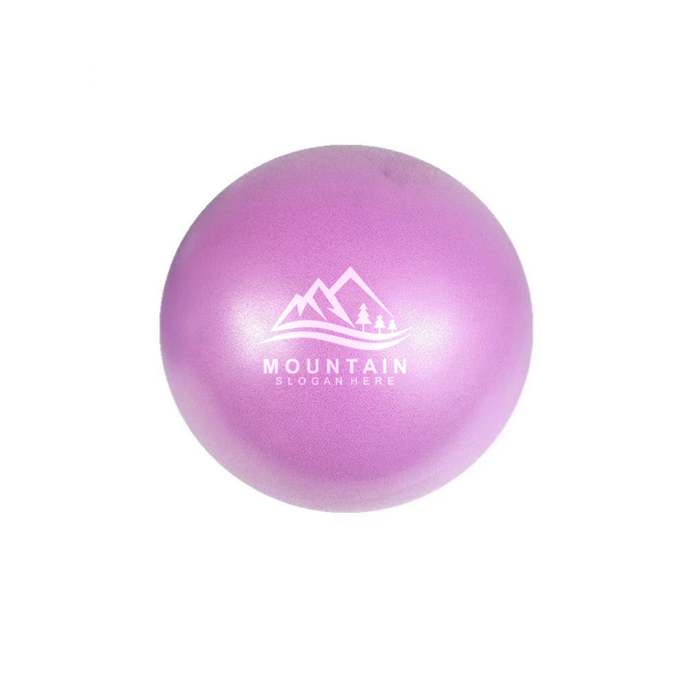 Small PVC Pilates Ball1