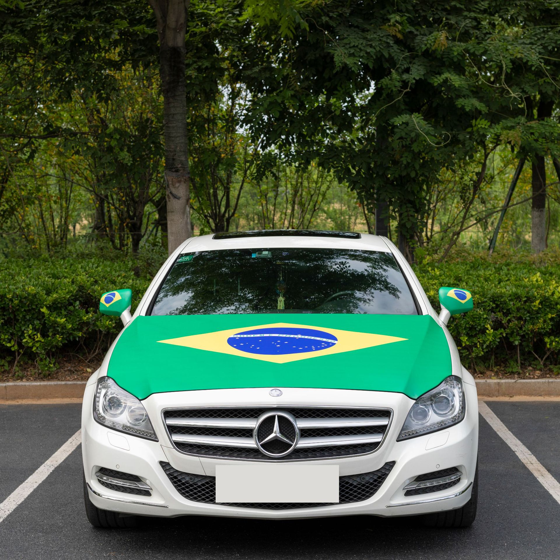 Car Hood Cover Flag1