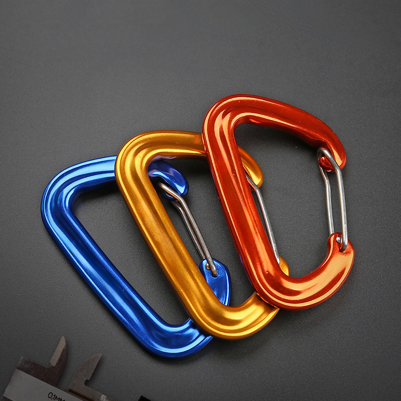 Custom D Type Spring Carabiner Hook2