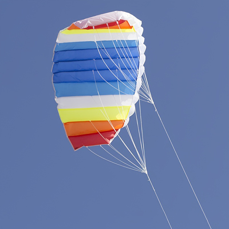 Custom Dual-line Parafoil Kite2