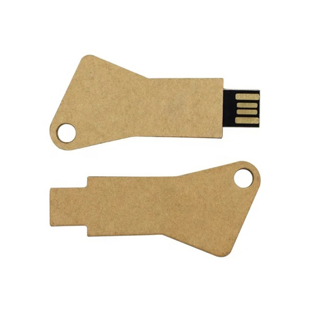 Environmentally Friendly Biodegradable USB Flash Drive1