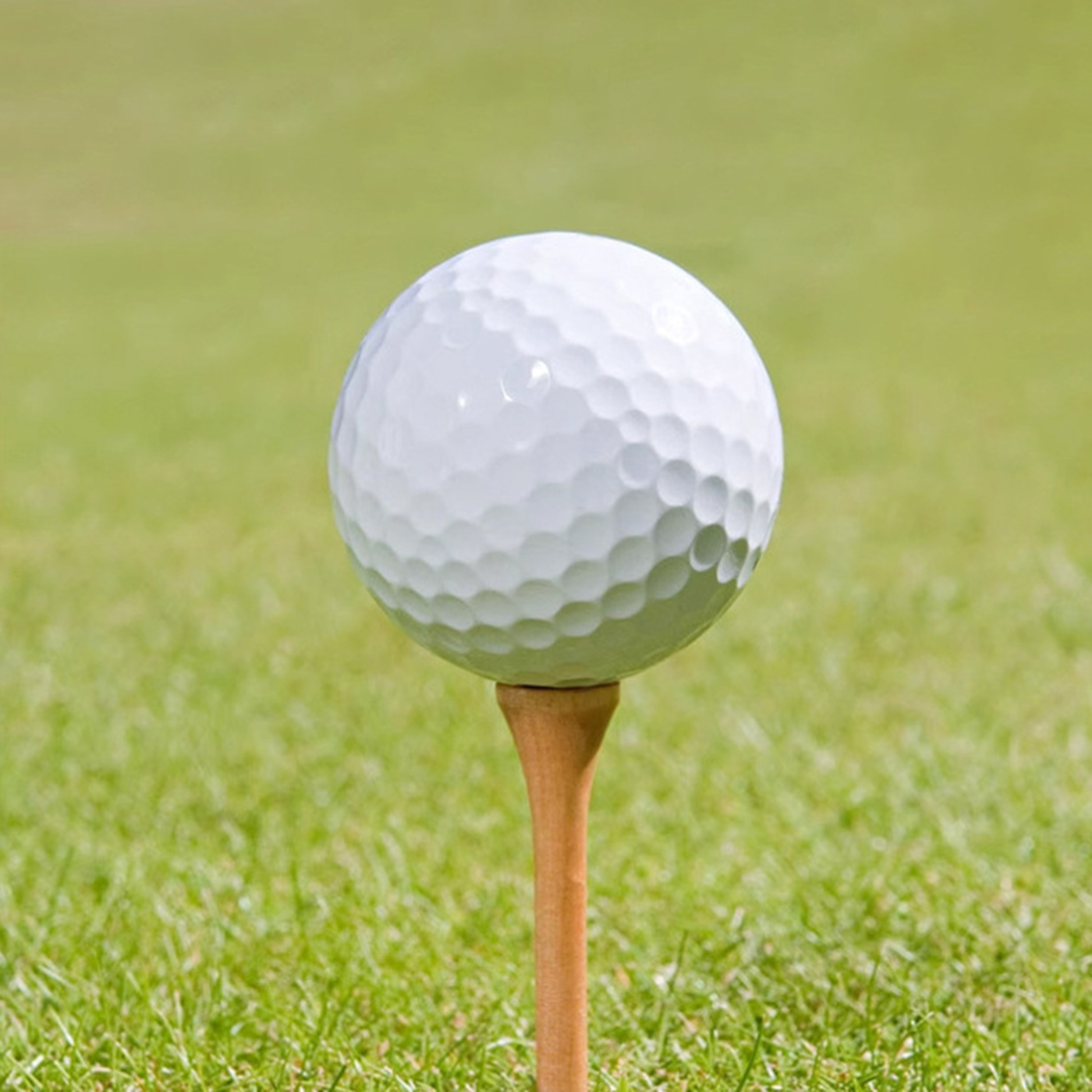 Bamboo Golf Tees2