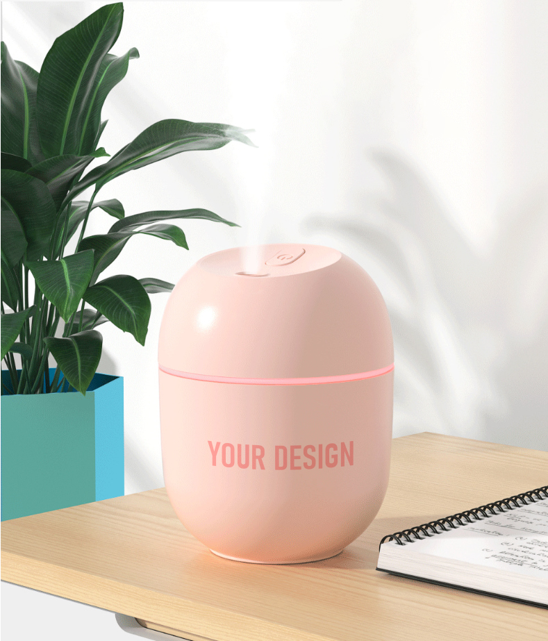 Portable 220ml Mini Mist Humidifier