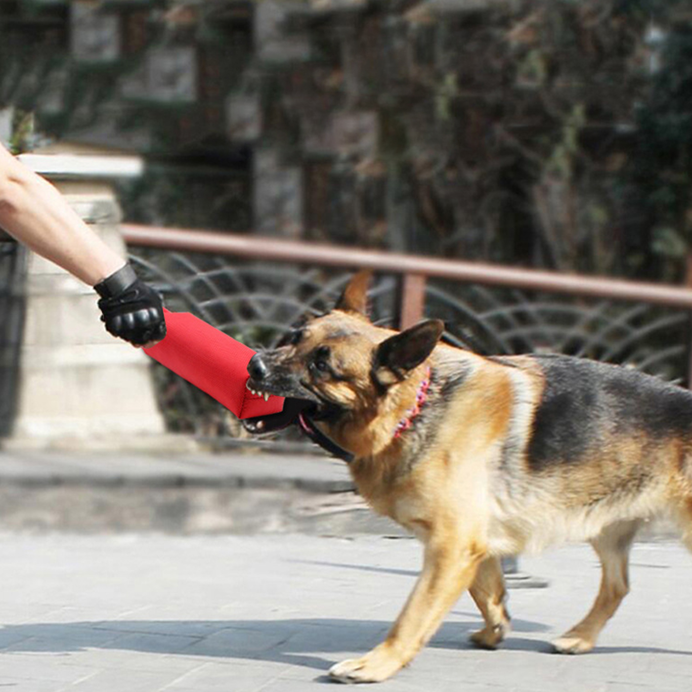 Fire Hose Bite Dog Tug With Handle1