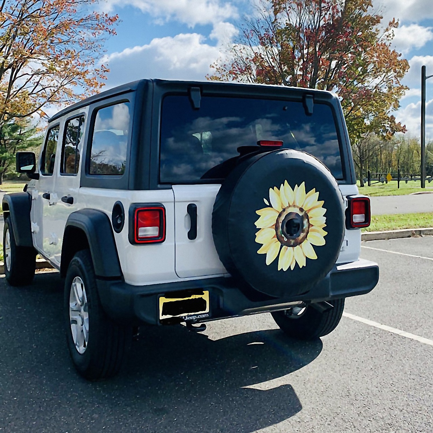 Custom Spare Tire Cover1
