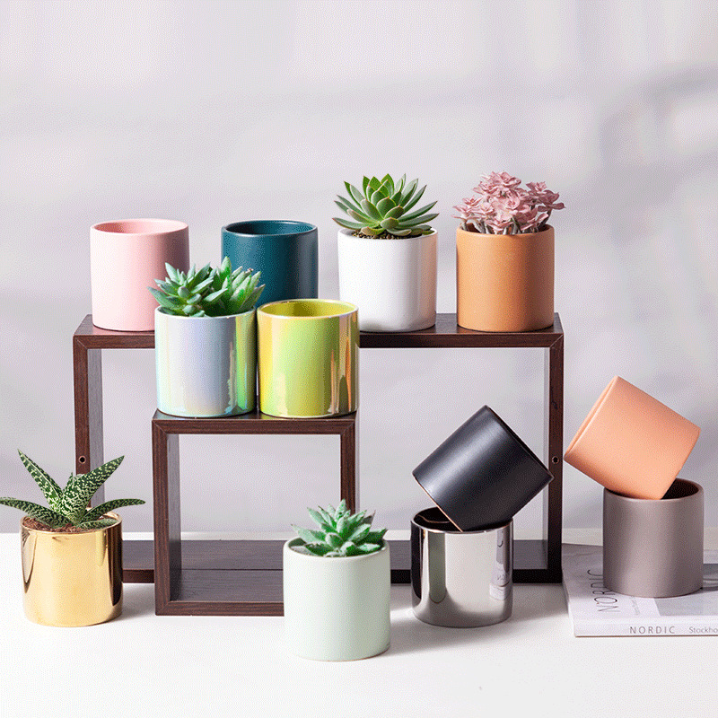 Desktop Mini Succulent Pot