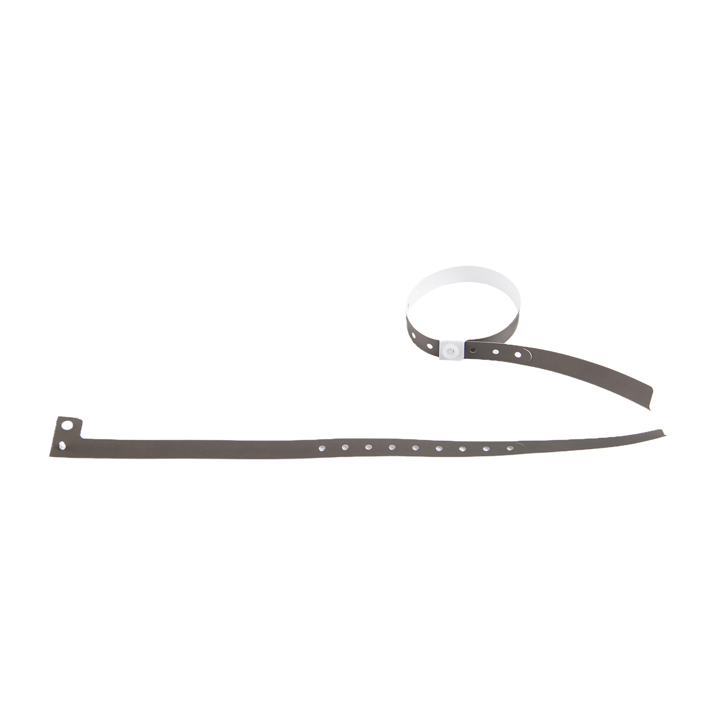 Personalized Disposable Wristband2
