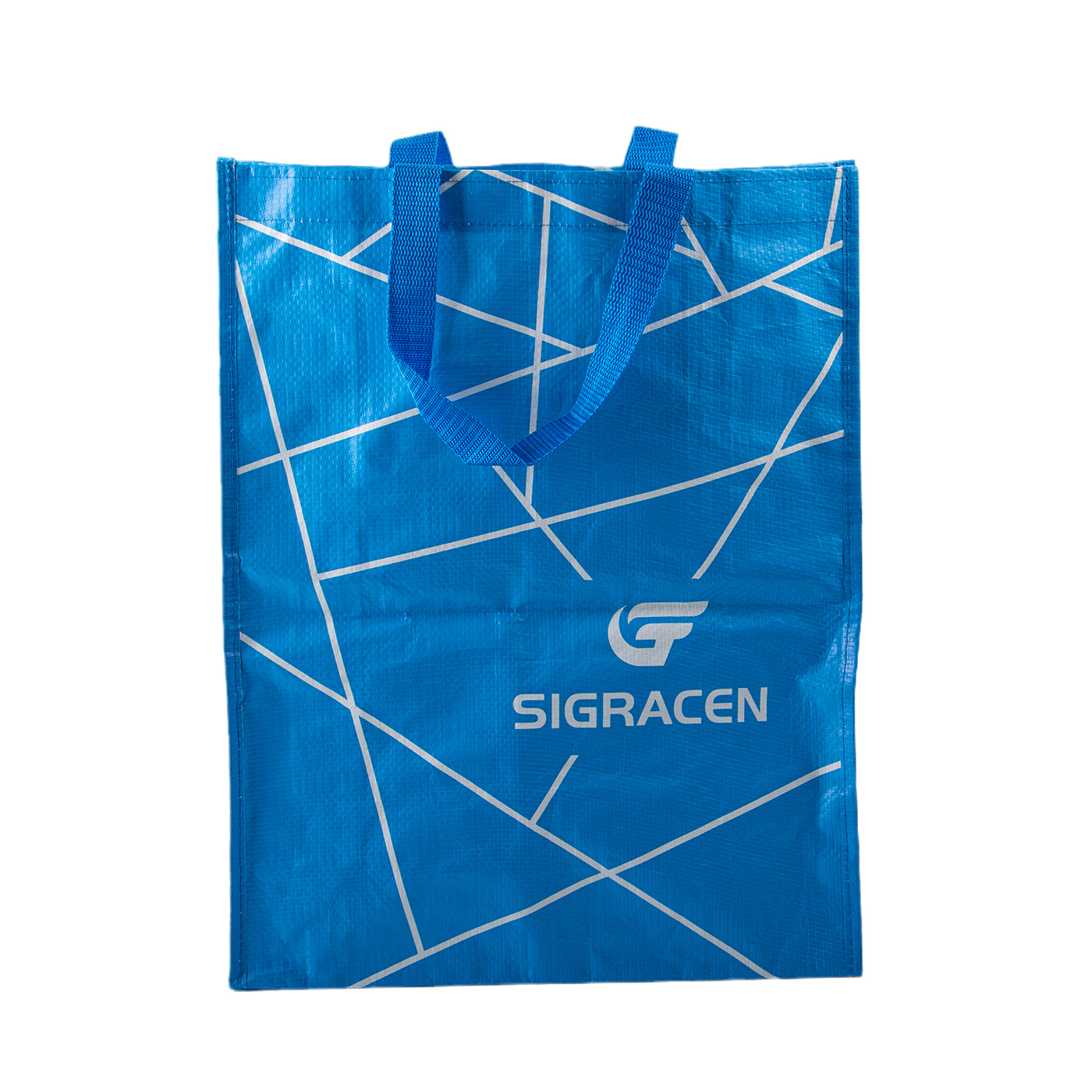 Reusable Woven Plastic Waterproof Tote Bag
